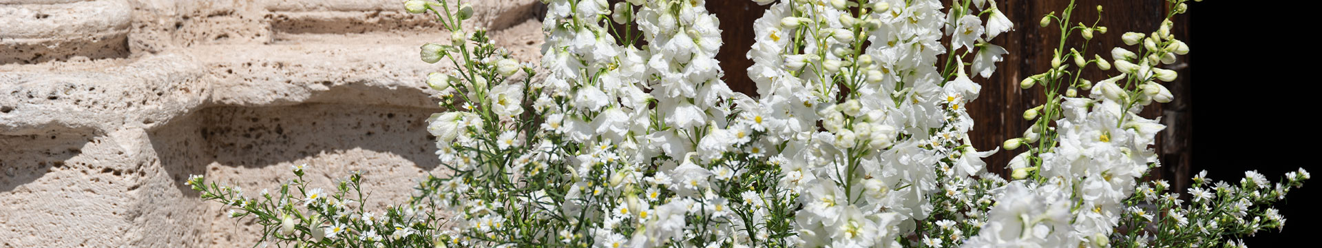 Romantic White Wedding a Ascoli Piceno