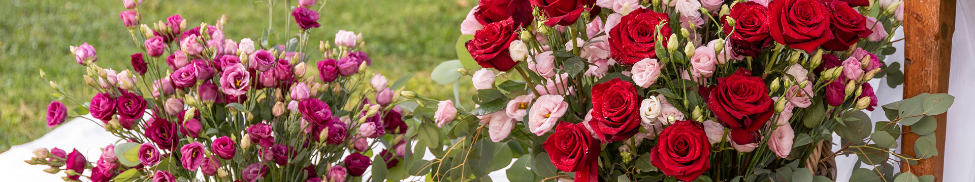 Red Passion a Monsampolo del Tronto